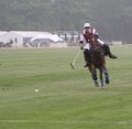 Polo_Art   103